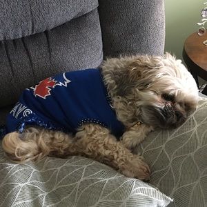 Meet your Posher, Mary ann